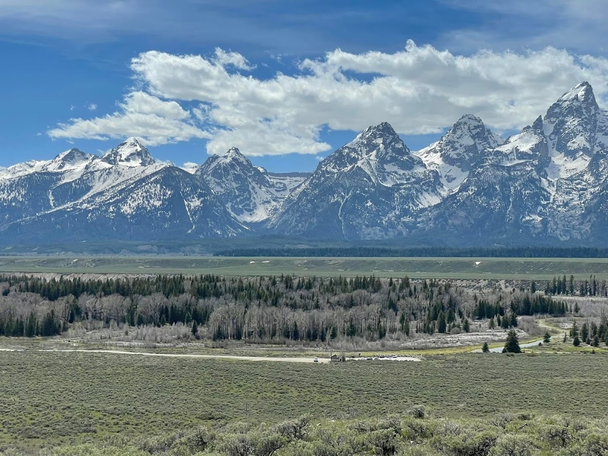 Wild Bachelorette Bash in Jackson Hole