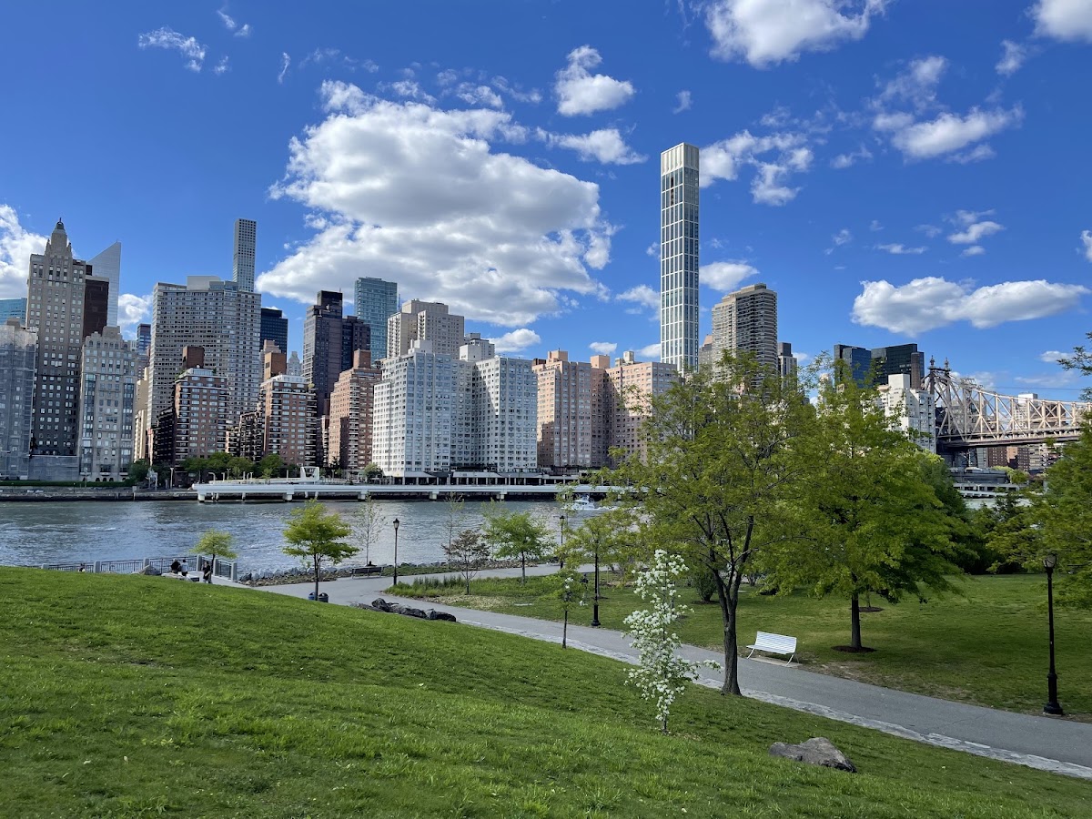 Big Apple Family Adventure: Museums, Music & Culinary Delights