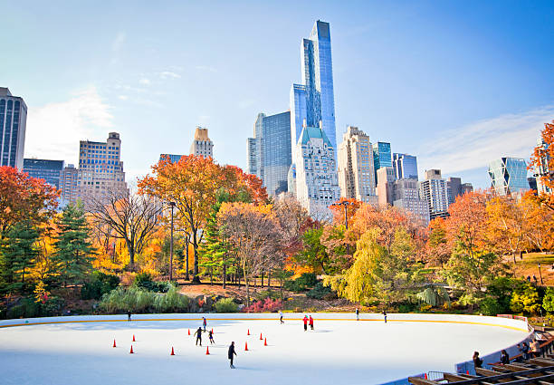 Morning in Central Park