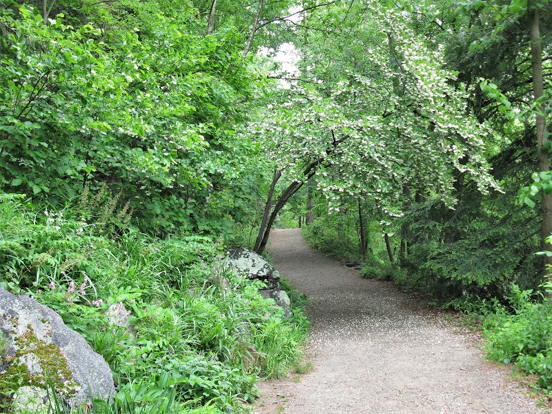Peaceful Stroll at Asheville Botanical Garden