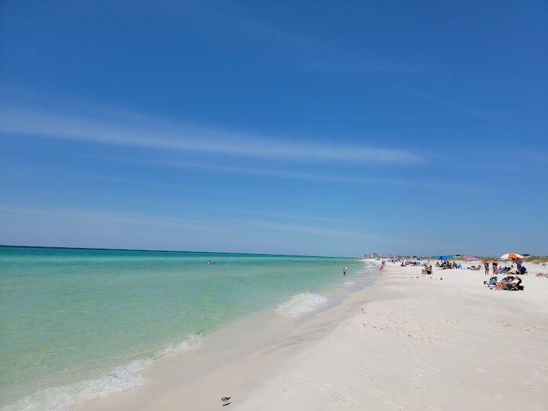 Nature Exploration at Topsail Hill Preserve State Park