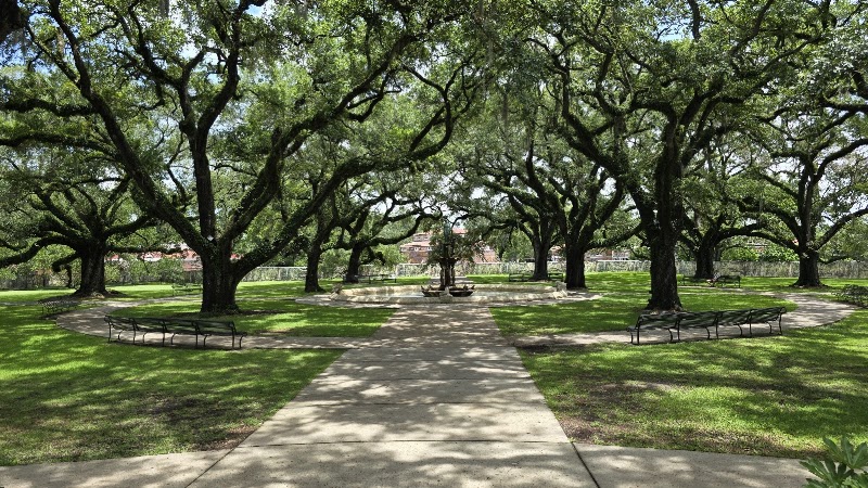Afternoon Stroll Through Audubon Park