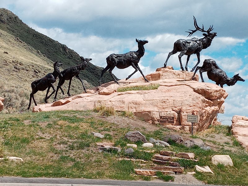 Museum Visit at National Museum of Wildlife Art
