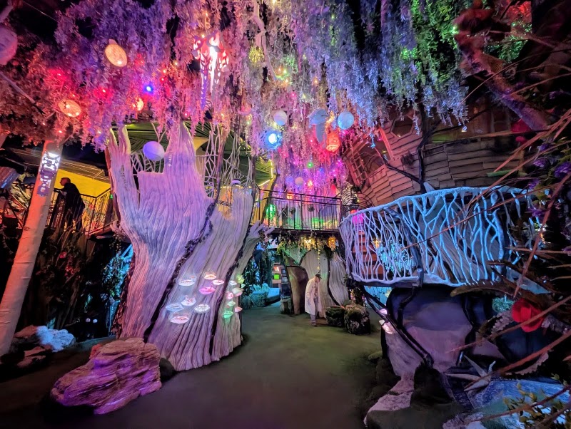 Immersive Art Experience at Meow Wolf Santa Fe's House of Eternal Return